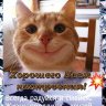 Капитоша