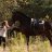 shop-galop
