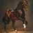 HORSE314
