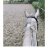 Annaversari
