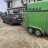 green horse carrier