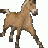 dressage_rider