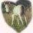 NiceHorsy