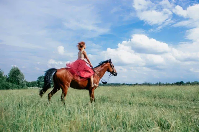 казак и казачка донские. пути на коне. пути на коне. конный поход на шавлинские озера. пути на коне.