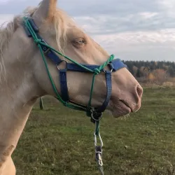Голубоглазый Топаз