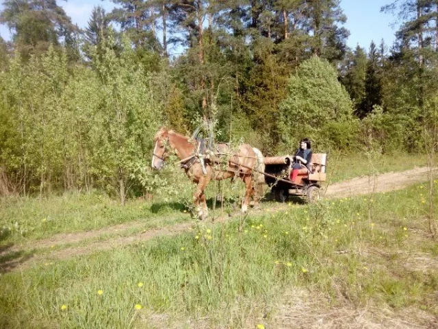 Прокат, занятия и другое на севере ленинградской области! Недорого :), фото 2