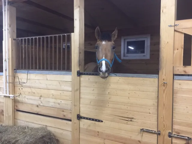 Конюшню установив камеру фермер. Конюшня фонда тихомировых иркутск. Фотосессия на конюшне в кантри стиле. Конюшню установив камеру фермер. Кск изумрудный лес конюшня.