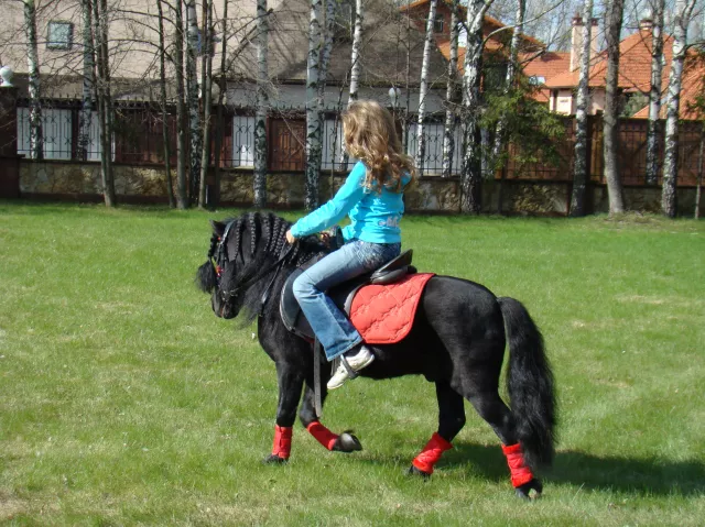 platinumhorse.ru, фото 3