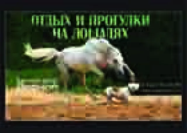 Конный двор Лесное, фото 1