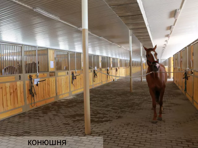 КСК"Триумф", фото 1