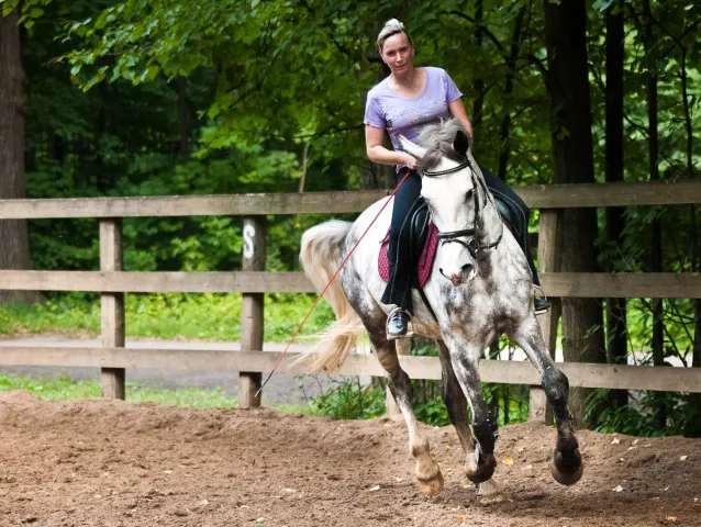 platinumhorse, фото 2
