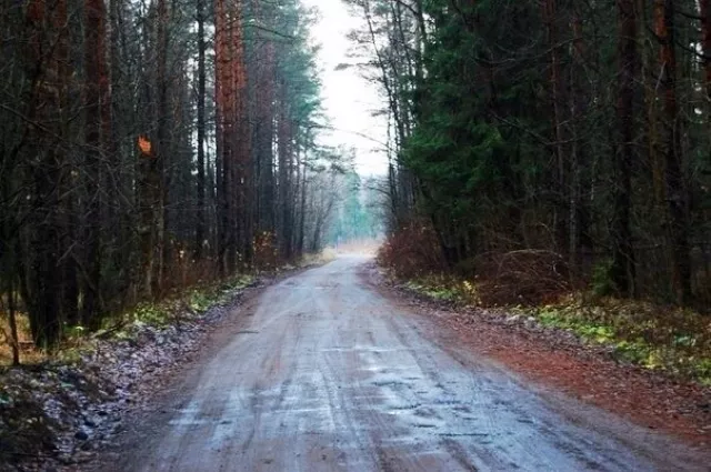 Фермерское хозяйство «Чистые Пруды», фото 7
