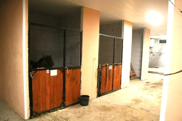 КСК "Black Horse", фото 4