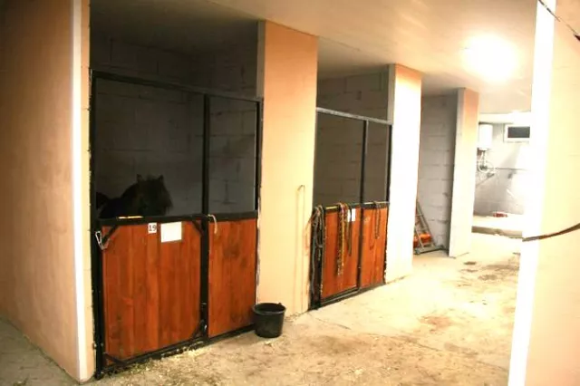 КСК "Black Horse", фото 5