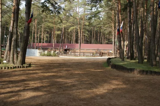 КСК "Пегас" Дракино, фото 6