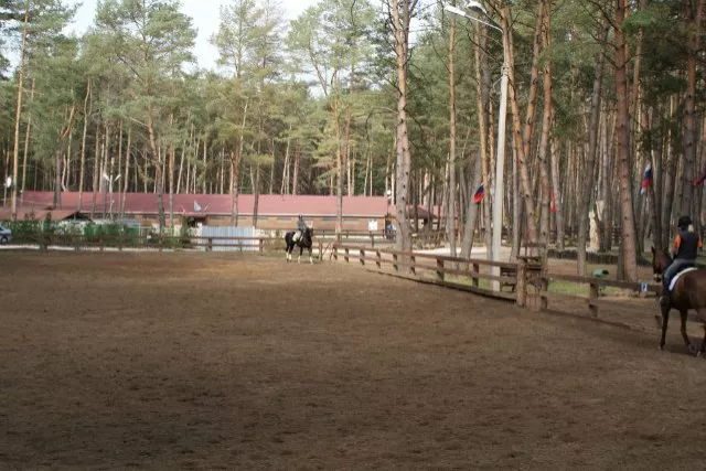 КСК "Пегас" Дракино, фото 5