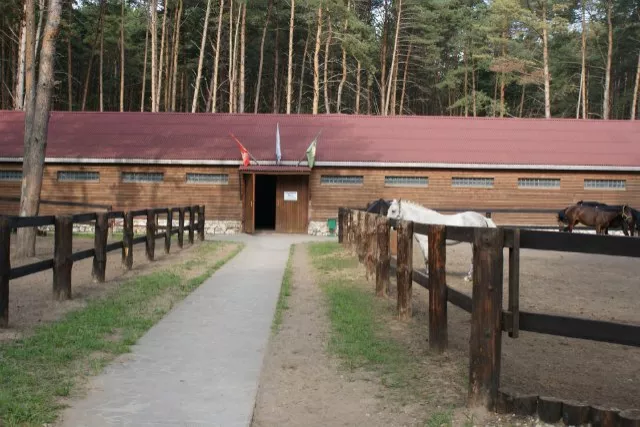 КСК "Пегас" Дракино, фото 1