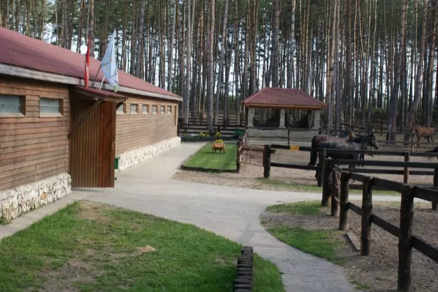 КСК "Пегас" Дракино, фото 2