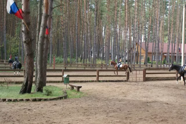 КСК "Пегас" Дракино, фото 4