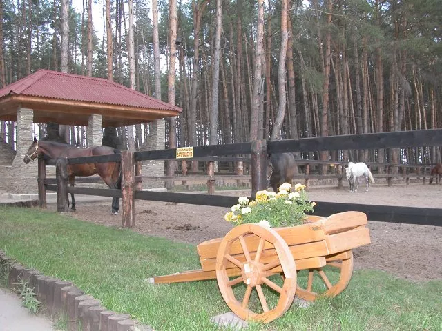 КСК "Пегас" Дракино, фото 17
