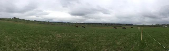 КСК "Гермес", фото 14