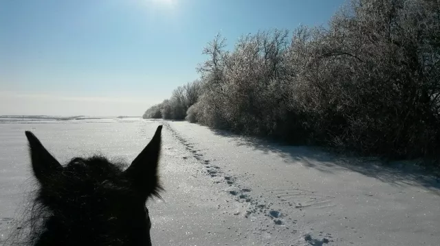 КСК "Валенсия", фото 6