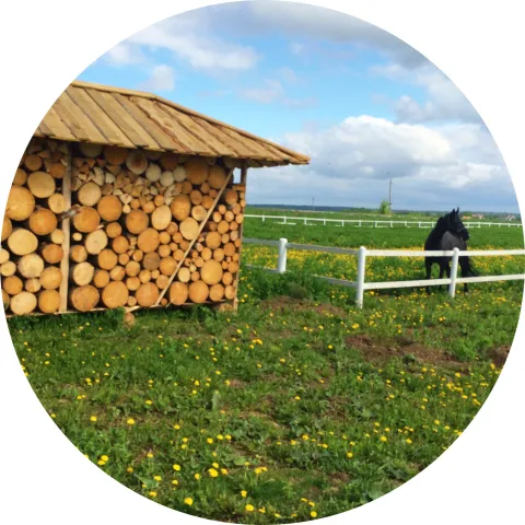 Добромысли КСК, фото 18