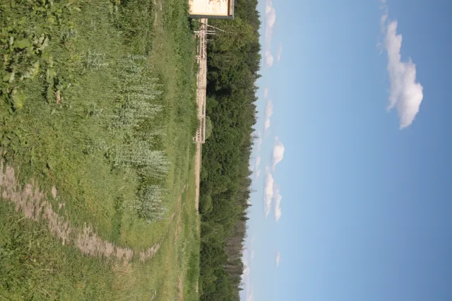 Конный клуб "ГЕНИЙ", фото 7