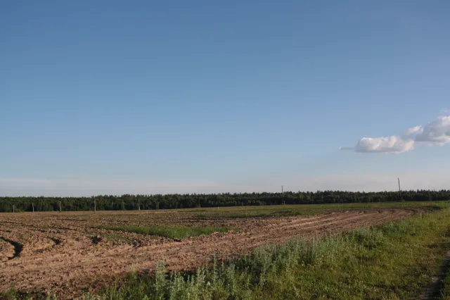 Конный клуб "ГЕНИЙ", фото 13