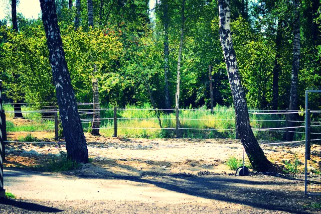 КСК "Баскюль", фото 15