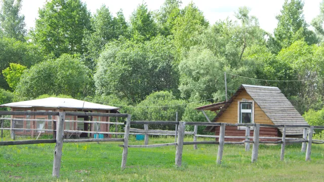 "Конно-каретный двор", фото 8