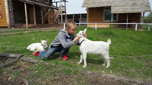 "Конно-каретный двор", фото 7