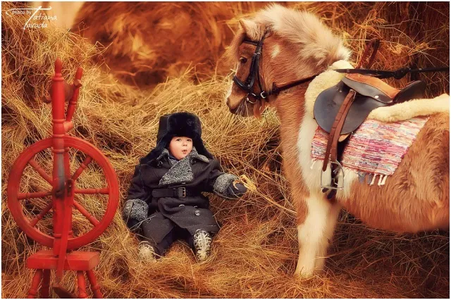 КФХ "Конный двор", фото 9