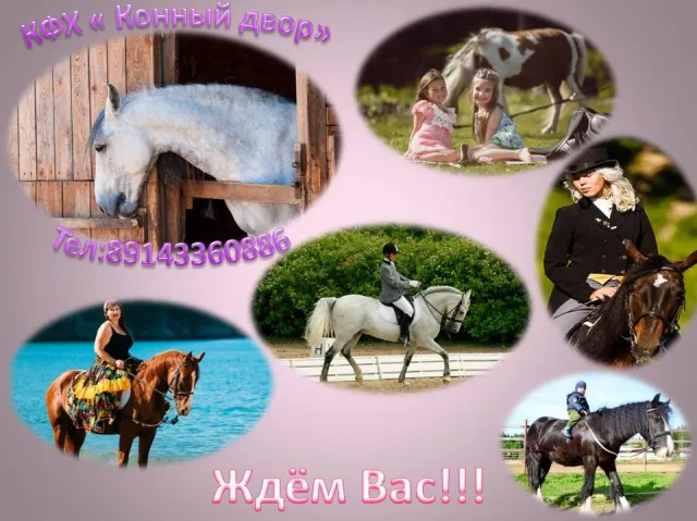 КФХ "Конный двор", фото 7