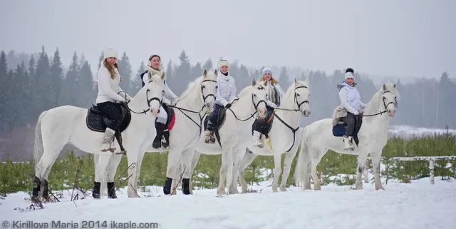 Конно-каретный двор Парк-отеля "Ярославль", фото 3