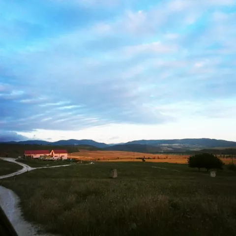 Конный двор, фото 1