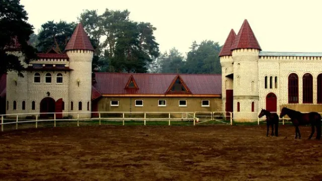 КФХ Станица, фото 1