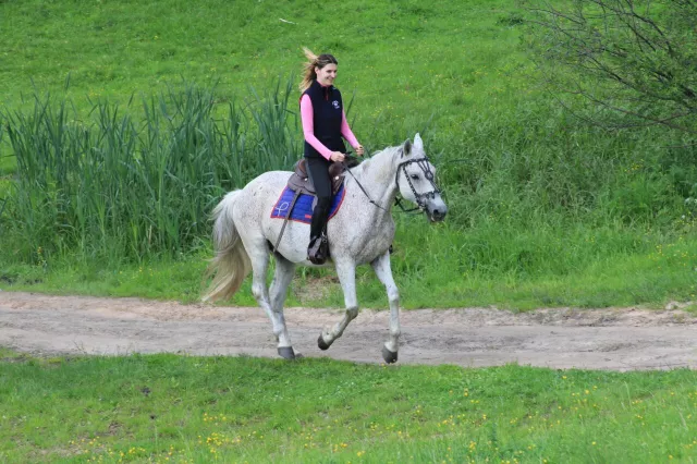 Конный клуб "ФаворитАС", фото 6