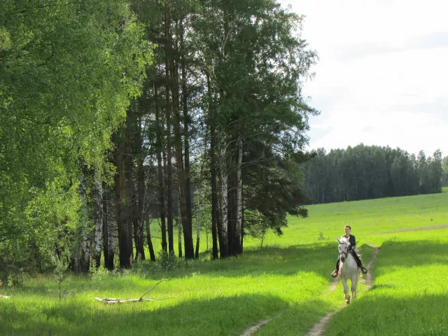 Конный клуб "ФаворитАС", фото 5