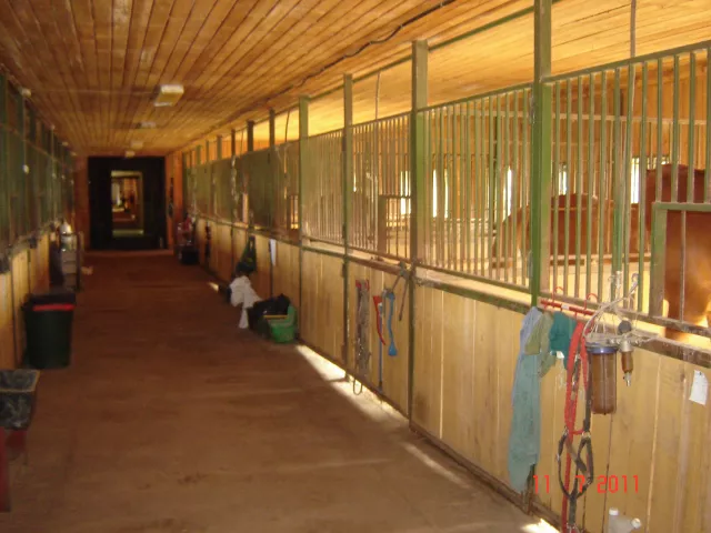 КСК "Алин Мак", фото 3