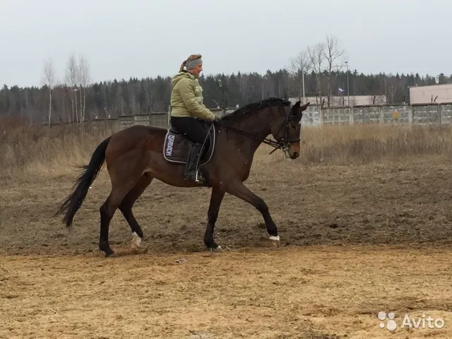 КСК Светлые горы, фото 5