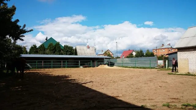 ЧК "Манёвр", фото 13