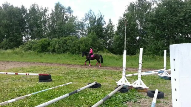 ЧК "Манёвр", фото 10