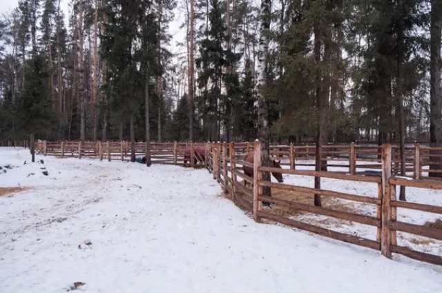КСК "Идальго", фото 12