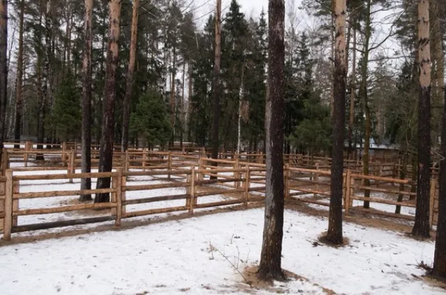 КСК "Идальго", фото 14