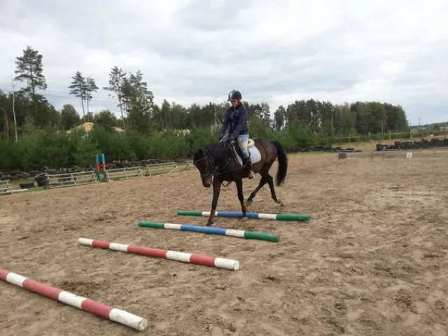 КСК "Пальмира", фото 9