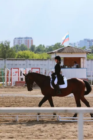 КСК "Юность Москвы "Кузьминки", фото 17