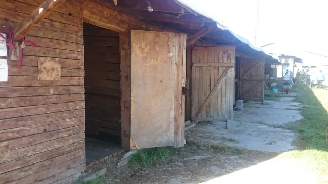 Конюшня Николаевской учебной сотни, фото 4