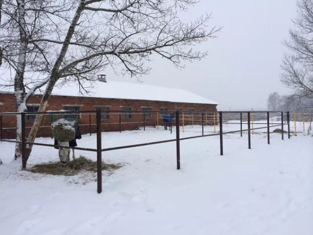 Истра Хорс Фарм, фото 14