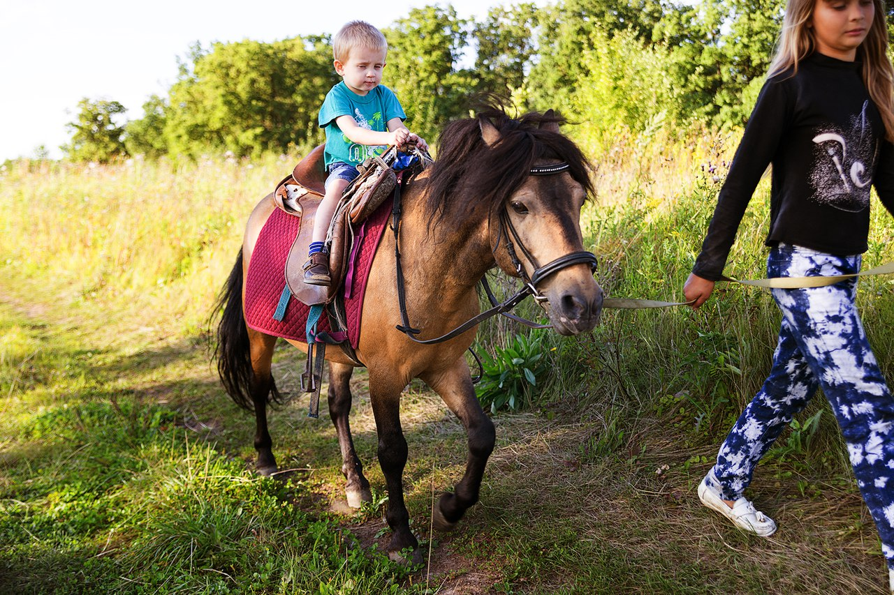 Лошадку навести навести. Дети катаются на лошадях. Прогулка на лошадях с детьми. Катание детей на пони. Конные прогулки дети.